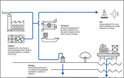 CCUS Industry Under Target of Carbon-Peak and Carbon-Neutrality: Progress and Challenges